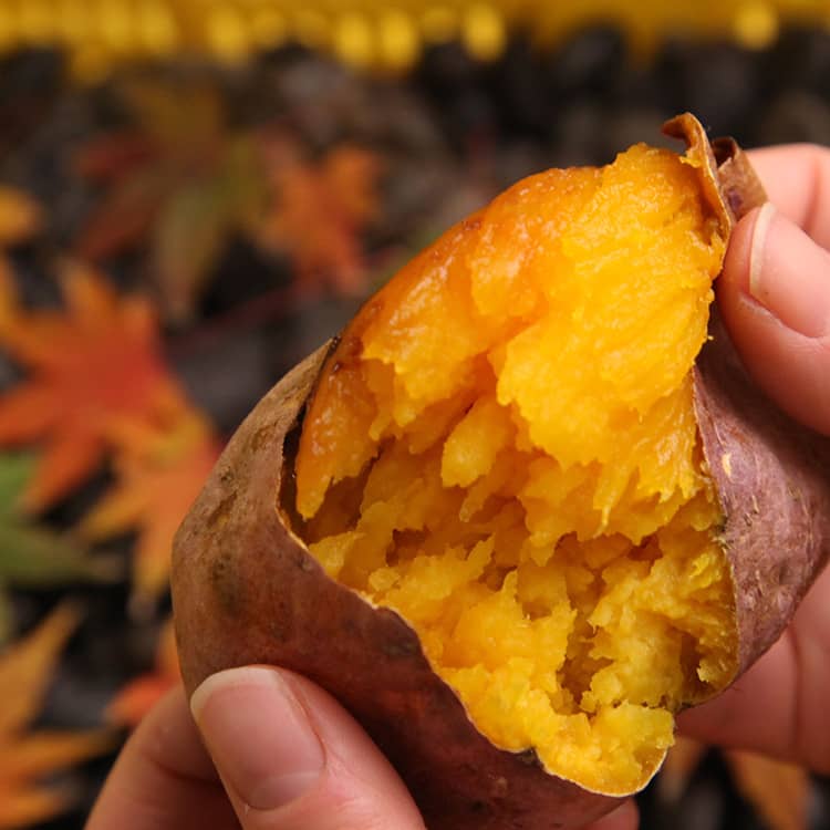 石焼ごと芋 プレミアム 1袋