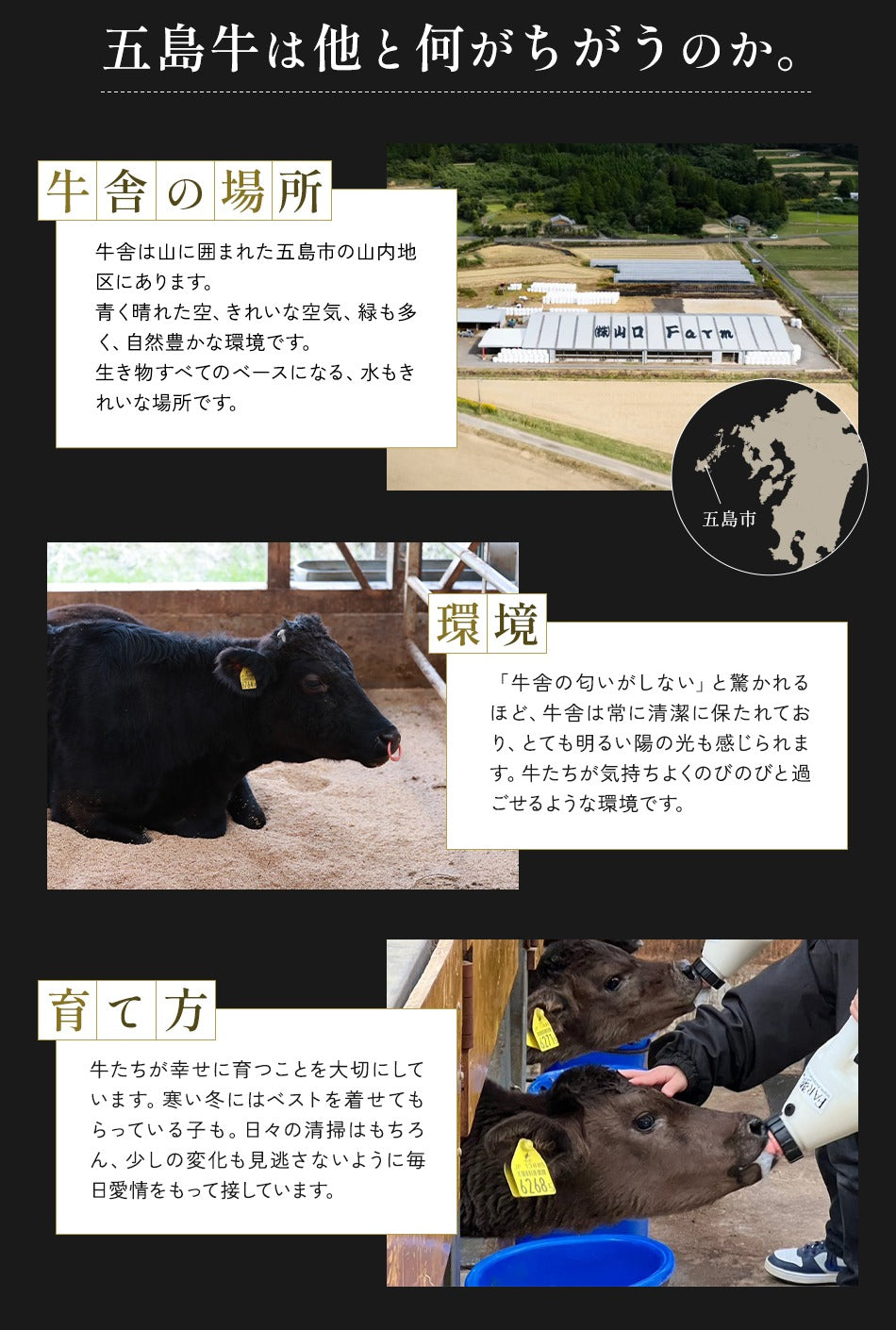 五島牛の違い